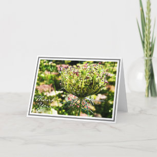 Koningin Anne's lafaard met groene olie Kaart