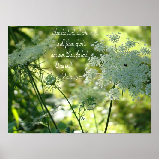 Koningin Anne's poster (Voorkant)