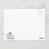 Koningin Ann's Lace Briefkaart (Achterkant)