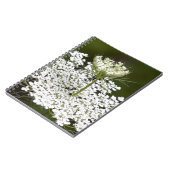 Koningin Ann's Lace Notitieboek (Linkerzijde)