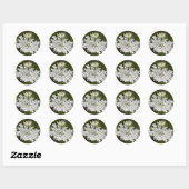 Koningin Ann's Lace Ronde Sticker (Vel)