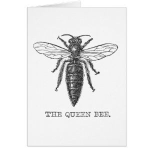 Koningin Bee Bug Insecten Bijen Illustratie