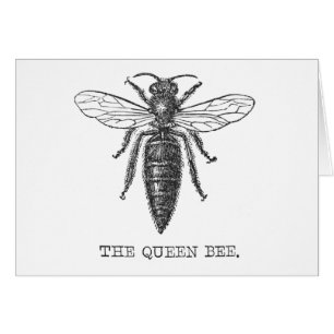 Koningin Bee Bug Insecten Bijen Illustratie