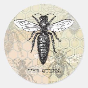 Koningin Bee Bug Insecten Bijen Illustratie Ronde Sticker