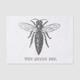 Koningin Bee Bug Insecten Bijen Illustratie Tissuepapier