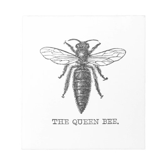Koningin Bij Illustratie Insect Bug Notitieblok (Voorkant)