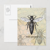 Koningin Bij Insect Antieke Illustratie Briefkaart (Voorkant / Achterkant)