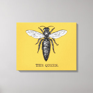 Koningin Bij Insect Antieke Illustratie Canvas Afdruk