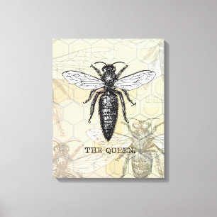 Koningin Bij Insect Antieke Illustratie Canvas Afdruk