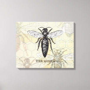 Koningin Bij Insect Antieke Illustratie Canvas Afdruk