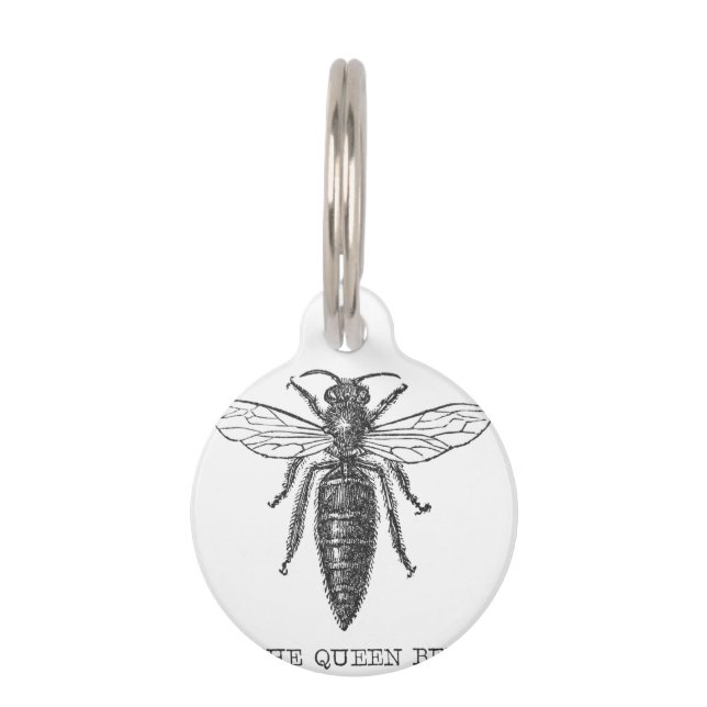Koningin Bij Insect Antieke Illustratie Huisdierpenning (Voorkant)