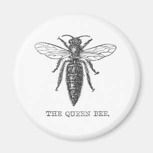 Koningin Bij Insect Antieke Illustratie Magneet