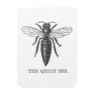Koningin Bij Insect Antieke Illustratie Magneet