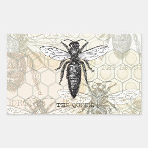 Koningin Bij Insect Antieke Illustratie Rechthoekige Sticker