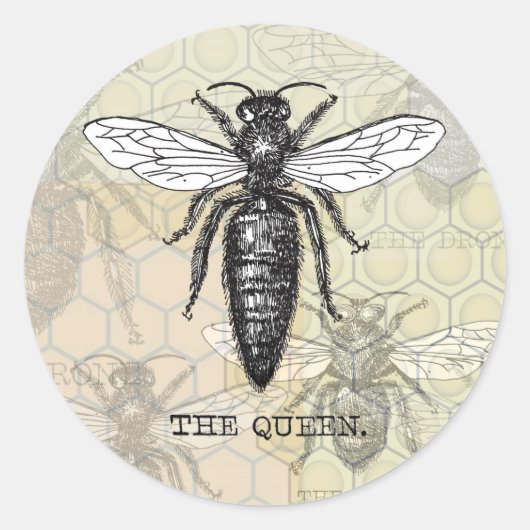 Koningin Bij Insect Antieke Illustratie Ronde Sticker (Voorkant)