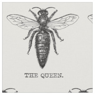Koningin Bij Insect Antieke Illustratie Stof