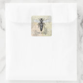 Koningin Bij Insect Antieke Illustratie Vierkante Sticker (Tas)