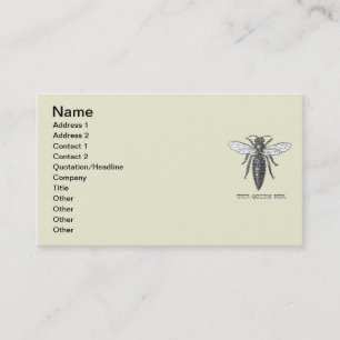 Koningin Bij Insect Antieke Illustratie Visitekaartje