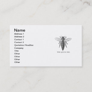 Koningin Bij Insect Antieke Illustratie Visitekaartje
