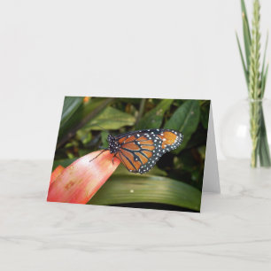 Koningin Butterfly Card Kaart