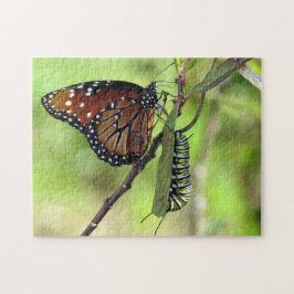 Koningin Butterfly en Monarch Caterstyle Legpuzzel