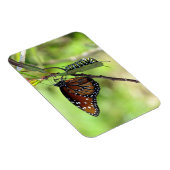 Koningin Butterfly en Monarch Caterstyle Magneet (Rechterzijde)