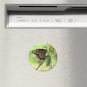 Koningin Butterfly en Monarch Caterstyle Magneet (Insitu (Vaatwasser))
