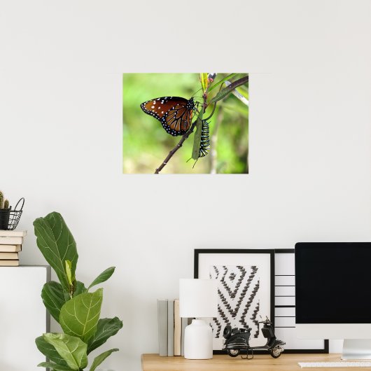 Koningin Butterfly en Monarch Caterstyle Poster (Thuiskantoor)