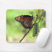 Koningin Butterfly en Muismat van de Monarch-drift (Met muis)