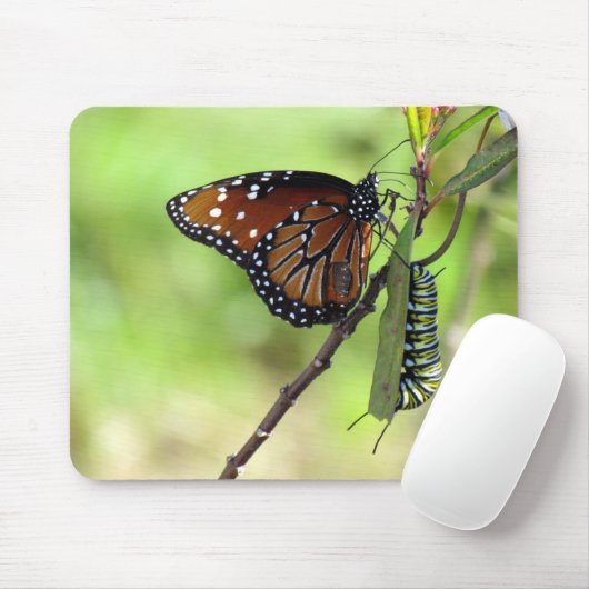 Koningin Butterfly en Muismat van de Monarch-drift (Met muis)