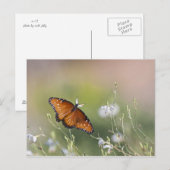Koningin Butterfly in het daglicht Briefkaart (Voorkant / Achterkant)