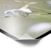 Koningin Butterfly in het daglicht Foto Afdruk (Hoek)