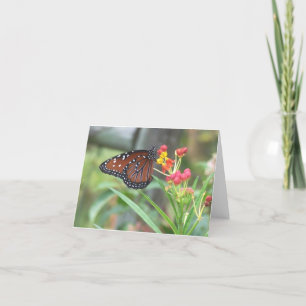 Koningin Butterfly Notecard Kaart