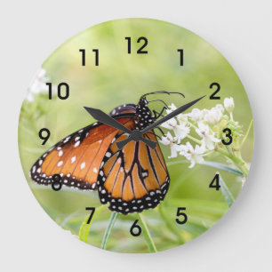Koningin Butterfly Sunning on Milkweed Grote Klok
