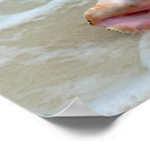 Koningin Conch in het Surf, Bahama's Poster (Hoek)