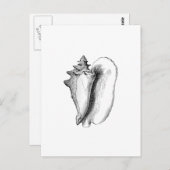 Koningin Conch (lijnkunst) Briefkaart (Voorkant / Achterkant)