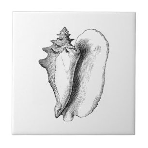 Koningin Conch (lijnkunst) Tegeltje