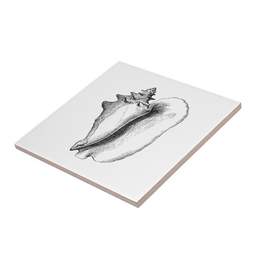 Koningin Conch (lijnkunst) Tegeltje (Zijkant)