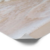 Koningin Conch op de Beach, Bahama's Poster (Hoek)