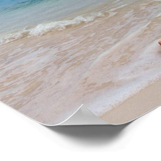 Koningin Conch op de Beach, Bahama's Poster (Hoek)