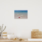 Koningin Conch op de Beach, Bahama's Poster (Keuken)