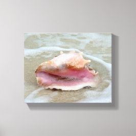 Koningin Conch op het strand Canvas Afdruk