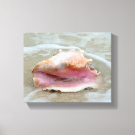 Koningin Conch op het strand Canvas Afdruk