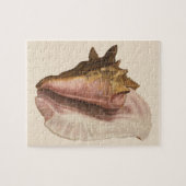 koningin Conch Seashell Shell, zeedier Legpuzzel (Horizontaal)