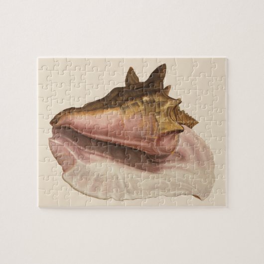 koningin Conch Seashell Shell, zeedier Legpuzzel (Horizontaal)