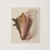koningin Conch Seashell Shell, zeedier Legpuzzel (Verticaal)