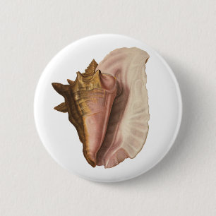  koningin Conch Seashell Shell, zeedier Ronde Button 5,7 Cm