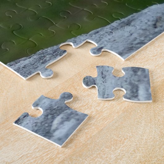 Koningin Conch Shell op een muur, het Poster van d Legpuzzel (Zijkant)