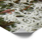 Koningin Elizabeth 1st Lichen Poster (Hoek)