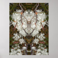 Koningin Elizabeth 1st Lichen Poster